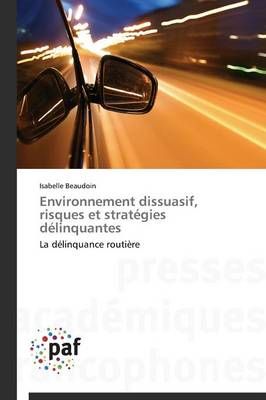 Environnement Dissuasif, Risques Et Strategies Delinquantes