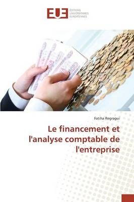 Le financement et l'analyse comptable de l'entreprise 9783841669513