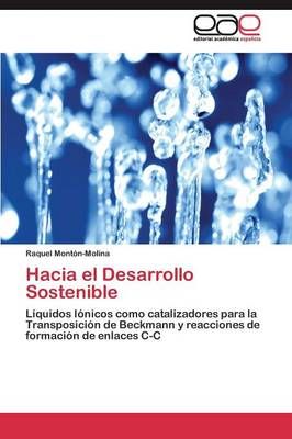 Hacia el Desarrollo Sostenible By Monton-Molina Raquel 9783844339062