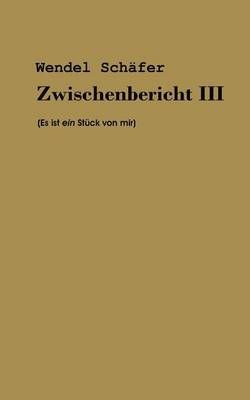 Zwischenbericht III By Wendel Schafer 9783844803549 (Paperback)