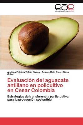 Evaluacion del aguacate antillano en policultivo en Cesar Colombia
