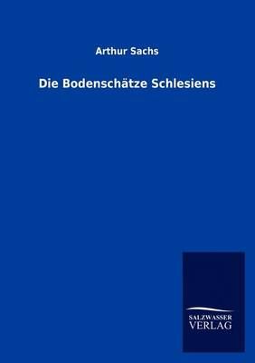 Die Bodenschatze Schlesiens By Arthur Sachs 9783846003558 (Paperback)