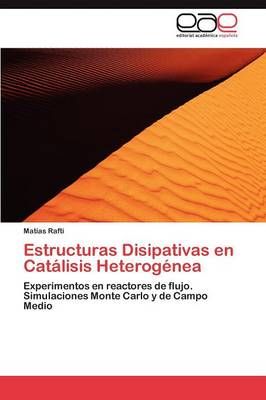 Estructuras Disipativas En Catalisis Heterogenea By Mat?as Rafti