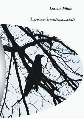 Lyrische Schattenmomente By Filius 9783848263042 (Paperback)