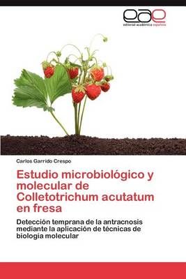 Estudio Microbiologico y Molecular de Colletotrichum Acutatum En Fresa
