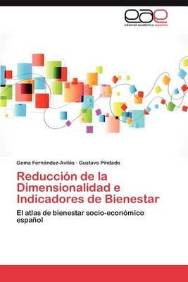 Reduccion de La Dimensionalidad E Indicadores de Bienestar (Paperback)