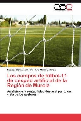 Los Campos de Futbol-11 de Cesped Artificial de La Region de Murcia
