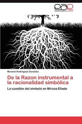 de La Razon Instrumental a la Racionalidad Simbolica 9783848473410
