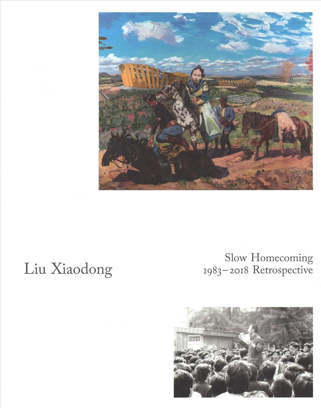 Liu Xiaodong 9783862067114 (Paperback)