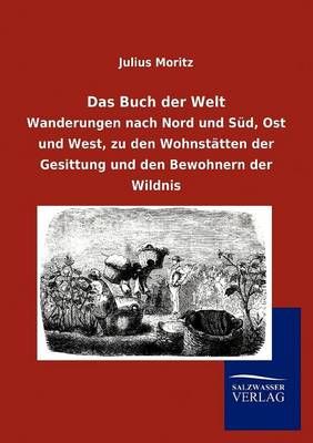 Das Buch der Welt By Julius Moritz 9783864449697 (Paperback)