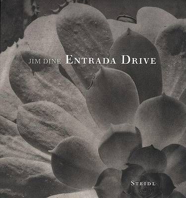 Entrada Drive By Jim Dine 9783865210807 (Hardback)