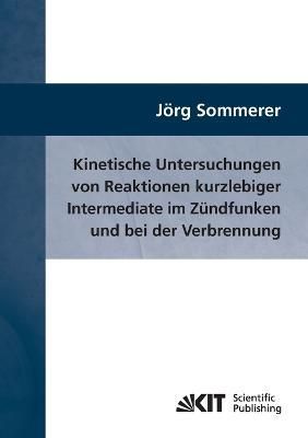 Kinetische Untersuchungen von Reaktionen kurzlebiger Intermediate im Zundfunken und bei der Verbrennung