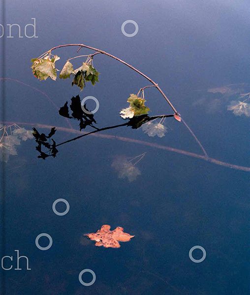 Beyond Reach By Ethna O'Regan 9783868289404 (Hardback)