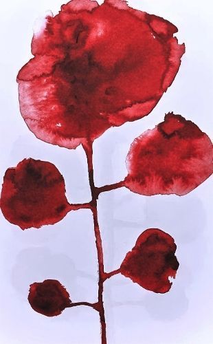 Les Fleurs 9783907179703 (Paperback)