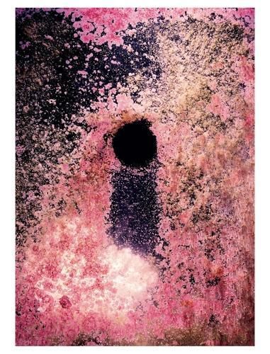 Water Column By Nico Krebs (author), Nico Krebs (other) 9783907236567