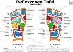 Fussreflexzonen Tafel. Fusssohle. DIN A3 9783939378273
