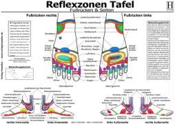 Fussreflexzonen Tafel/Fussrücken & Seiten/DIN A3 9783939378280