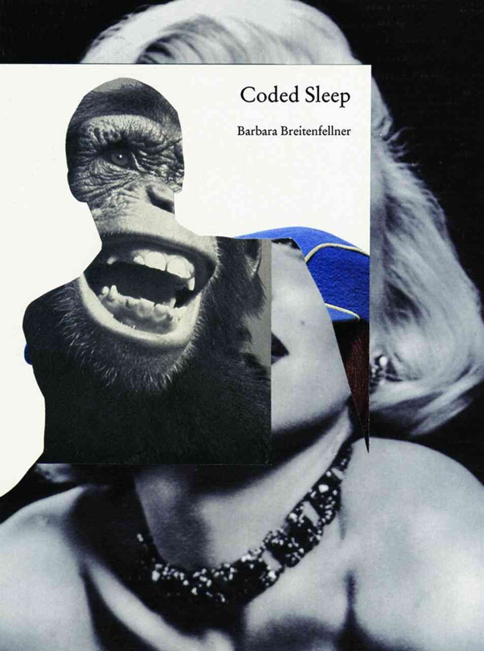 Coded Sleep By Barbara Breitenfellner 9783940907158 (Hardback)
