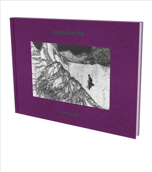 Daniel Richter By Susanne Figner 9783940953971 (Hardback)