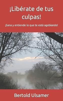 !Liberate de tus culpas! By Bertold Ulsamer 9783949494024 (Paperback)