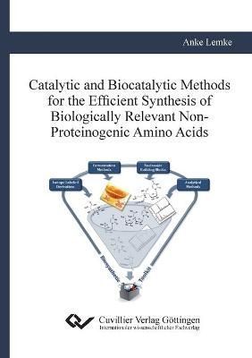 Catalytic and Biocatalytic Methods for the Efficient Synthesis of Biologically Relevant Non-Proteinogenic Amino Acids