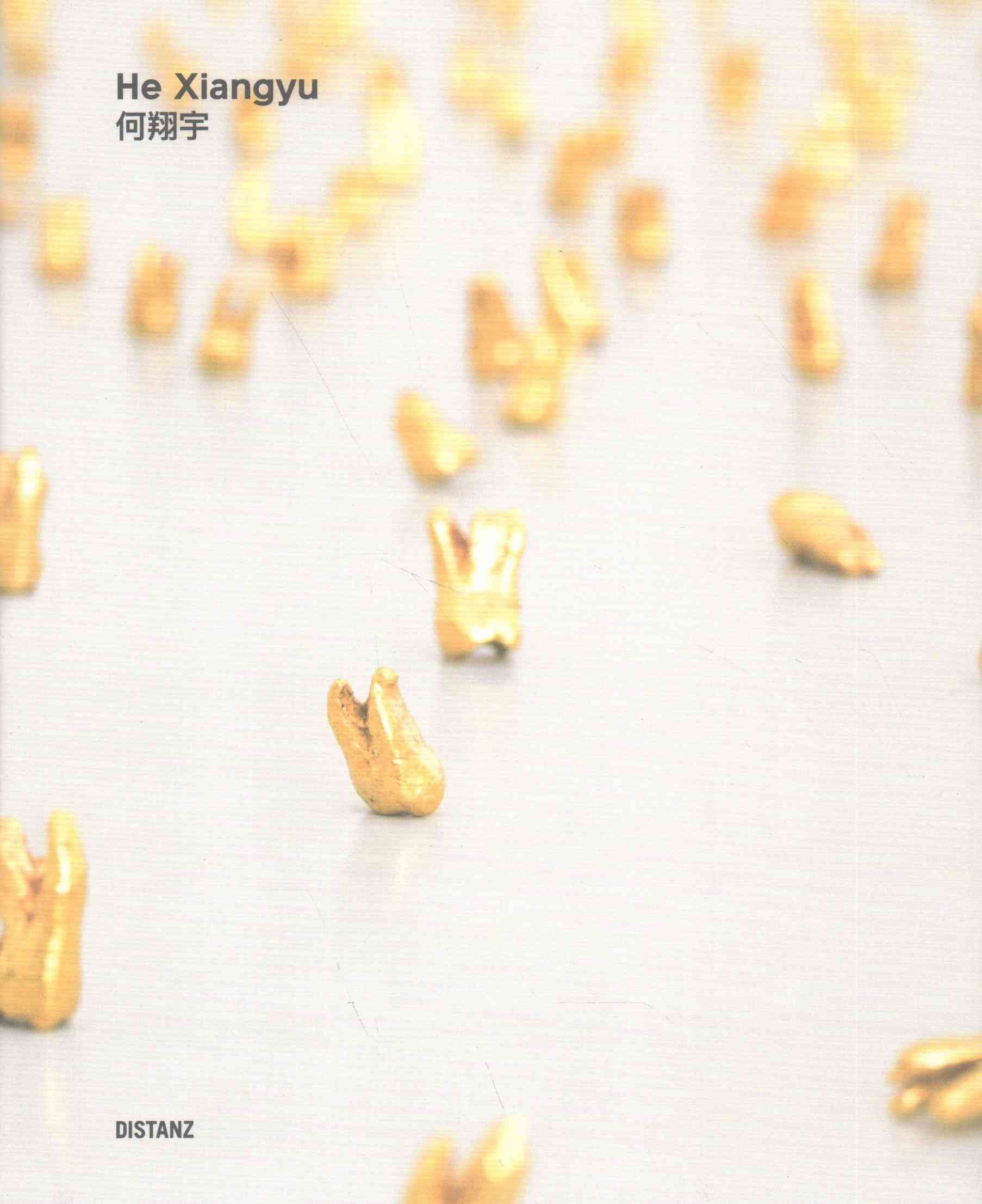 He Xiangyu 9783954761326 (Hardback)