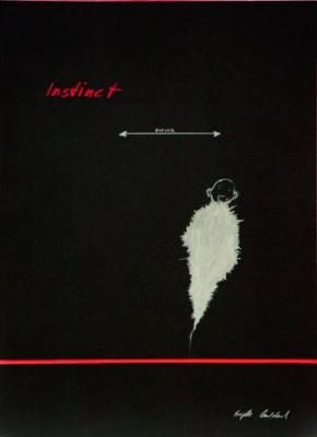 Brigitte Waldach: Instinct 9783954762491 (Hardback)