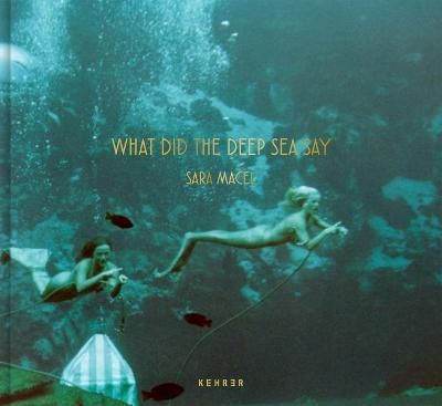What Did the Deep Sea Say By Sara Macel 9783969000526 (Hardback)