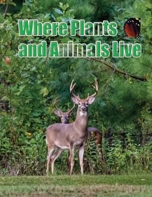 Where Plants and Animals Live By Sternchen Books 9783986520526