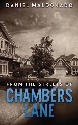 From The Streets of Chambers Lane By Maldonado 9784824110367