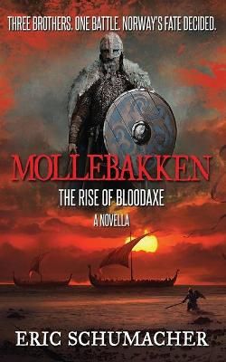 Mollebakken - A Viking Age Novella By Schumacher 9784867500422
