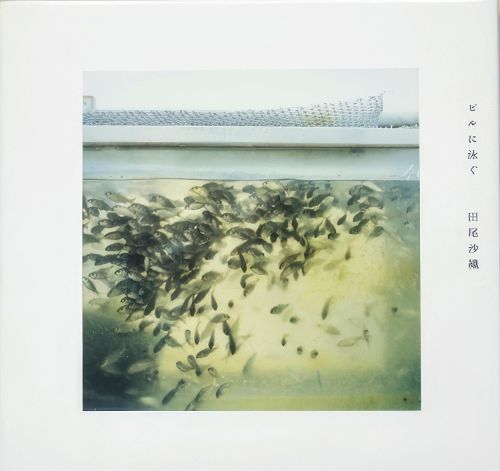 Swimming on the Building By Saori Tao 9784904635605 (Hardback)