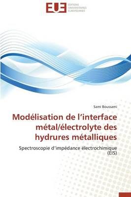 Mod lisation de L Interface M tal/ lectrolyte Des Hydrures M talliques