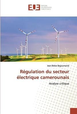 Régulation du secteur électrique camerounais By Begoumenié
