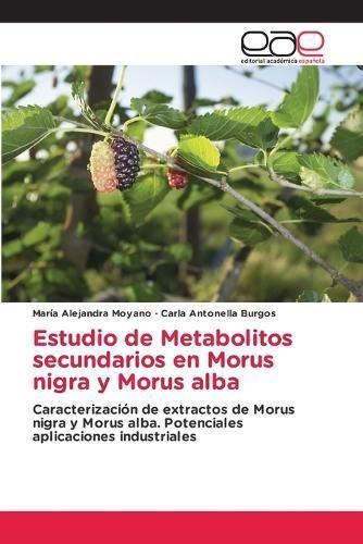 Estudio de Metabolitos secundarios en Morus nigra y Morus alba