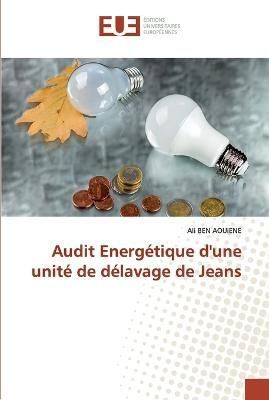 Audit Energétique d'une unité de délavage de Jeans By Ben Aouiene