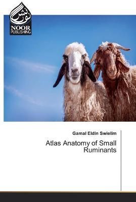 Atlas Anatomy of Small Ruminants By Swielim 9786200064882 (Paperback)