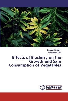 Effects of Bioslurry on the Growth and Safe Consumption of Vegetables