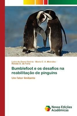 Bumblefoot e os desafios na reabilitacao de pinguins 9786202040068