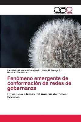 Fenomeno emergente de conformacion de redes de gobernanza (Paperback)