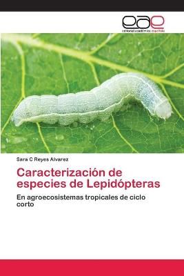 Caracterizacion de especies de Lepidopteras By Sara C Reyes Alvarez