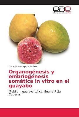 Organogenesis y embriogenesis somatica in vitro en el guayabo