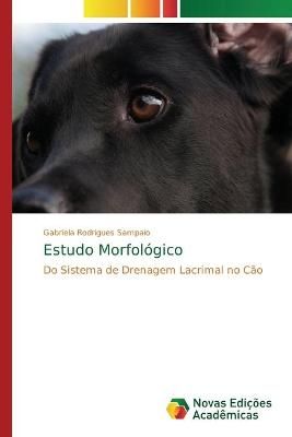Estudo Morfológico By Rodrigues Sampaio 9786202184182 (Paperback)
