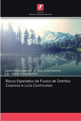 Riscos Esperados de Fluxos de Detritos Coesivos e Luta Contra eles