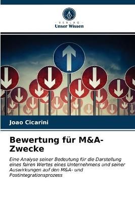 Bewertung für M&A-Zwecke By Cicarini 9786202845380 (Paperback)