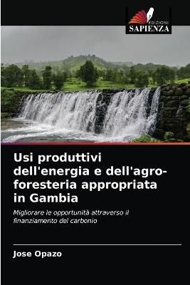 Usi produttivi dell'energia e dell'agro-foresteria appropriata in Gambia