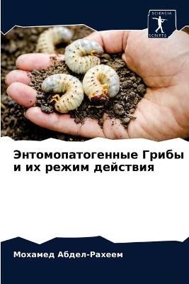 ???????????????? ????? ? ?? ????? ??????и 9786203289619