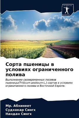 ????? ??????? ? ???????? ????????????? ?????? 9786203394856
