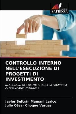 Controllo Interno Nell'esecuzione Di Progetti Di Investimento