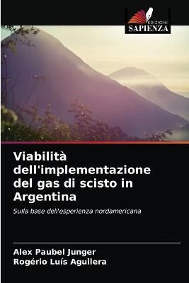 Viabilità dell'implementazione del gas di scisto in Argentina
